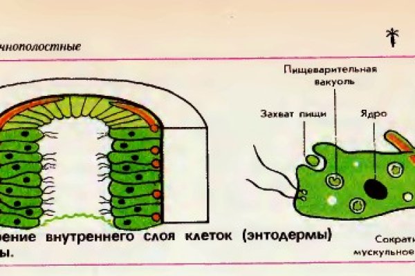 Kraken ссылка актуальная