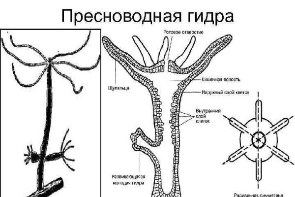 Кракен торговая площадка